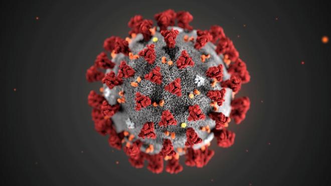 ภาพจำลองไวรัสที่ทำให้เกิดโรค Covid-19 ซึ่งตอนนี้มีชื่อทางการว่า SARS-CoV-2