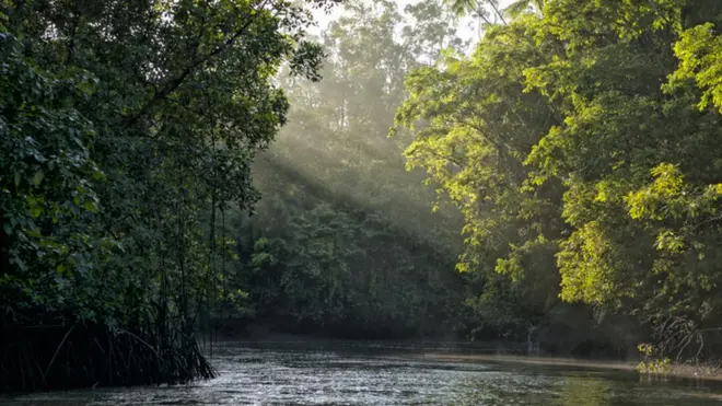 Boato defende que civilização teria construído 'capital do mundo' na Amazônia há 600 milhõesjogos para eu jogaranos, quando não existiam nem os dinossauros