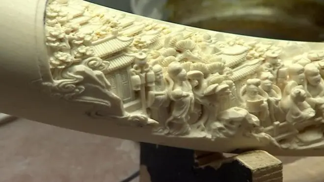 La Chine va rendre le commerce de l'ivoire illégal