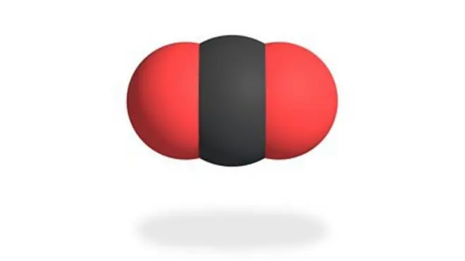 میزان تراکم دیاکسید کربن در جوّ زمین در دویست سال گذشته نزدیک به ۵۰ درصد افزایش پیدا کرده است.