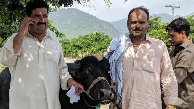 راولپنڈی سے تعلق رکھنے والے حسن لطیف نے بھی دو سالہ بھینس خریدی جس کے لیے ان کی کامیاب بولی 305000 روپے تھی