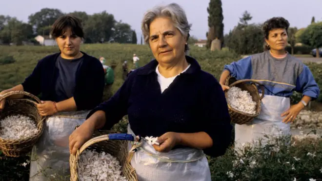 A vocaçãohajper casino sePayshajper casino seGrasse, na França, para criar e produzir perfumes foi incluída na listahajper casino sepatrimônio imaterial da Unesco