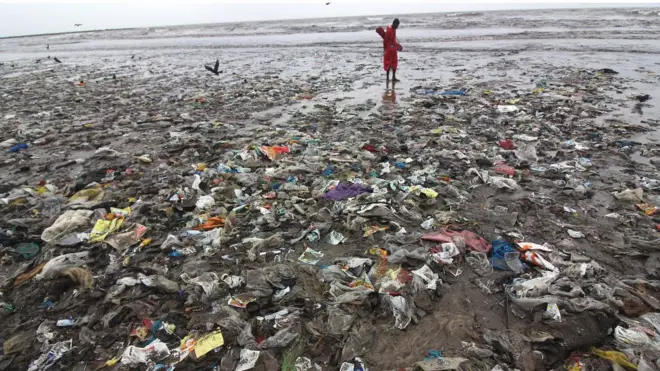 Plastic bags and food containers are found widely on beaches