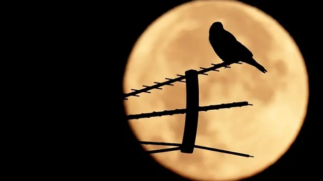 సూపర్ మూన్