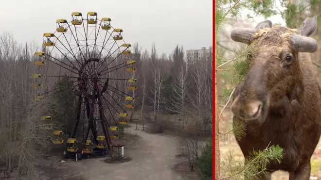 Чорнобиль, що зникає. Панорами Зони відчуження