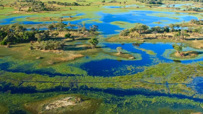 Vue aérienne du delta de l'Okavango