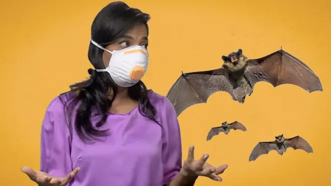 5 شائعات عن فيروس كورونا لا تستدعي القلق