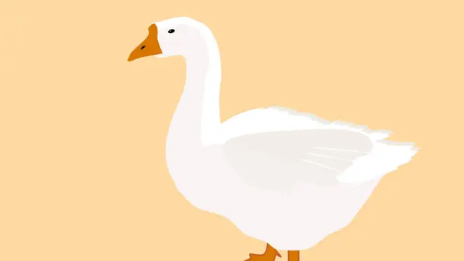 ¿Alguna vez te has hecho el ganso?
