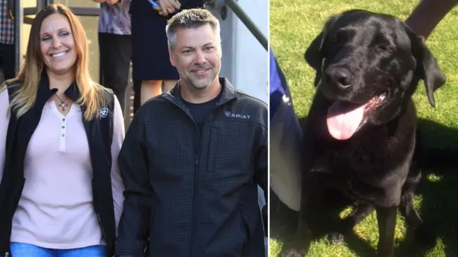 Mr Horner leaves court in side-by-side collage with dog