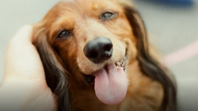 ست حقائق مذهلة عن "هرمون الحب"