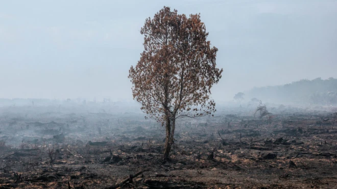 A prolonged drought set up the conditions for fire in this forested area of Indonesia