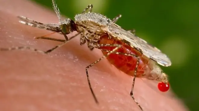 Dr Diabaté Abdoulaye de l'Institut de recherche en sciences de la santé du Burkina Faso, est notre invité.