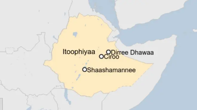 Bakkeewwan tibbana rakkoon nageenyaa mudate