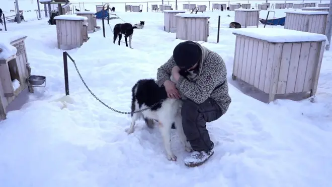 Homem com cães