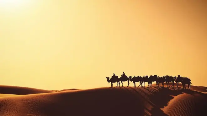 ما معنى عبارة Beauty of the Desert؟