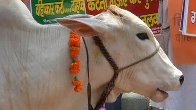 ગૌરક્ષકોની તસવીર