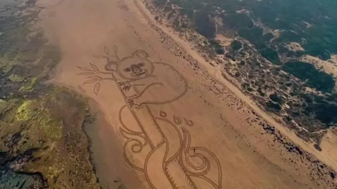 畫家愛德華說，這只考拉完美表達了我的感受