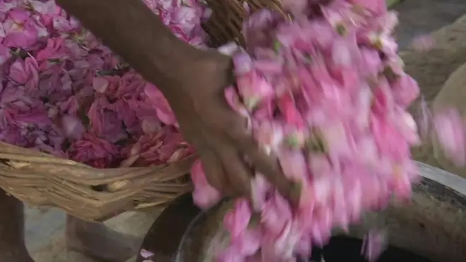 قنوج میں خوشبو کی تیاری