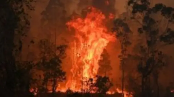 ऑस्ट्रेलिया