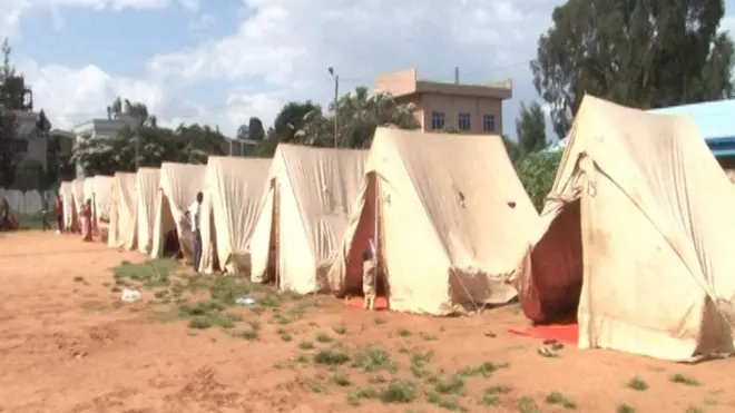 Dawoo yeroo baqattootaaf qophaa'e