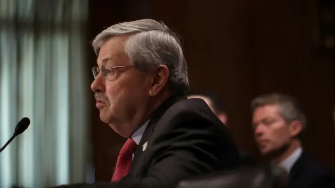 布兰斯塔德在美国参议院外交委员会参加听证。