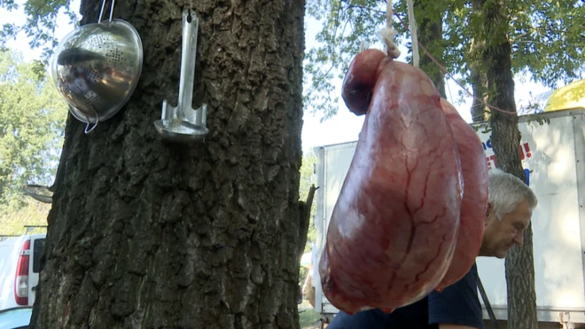 Беле бубреге спремале су екипе из Србије, Француске, Јапана, Канаде, Аустралије