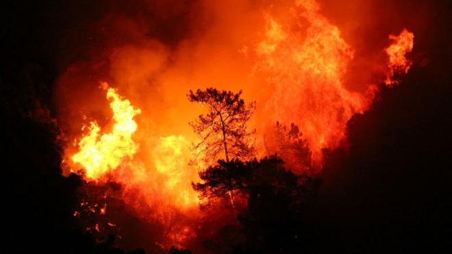 Охваченный пожаром лес, неподалеку от курортного города Мармарис