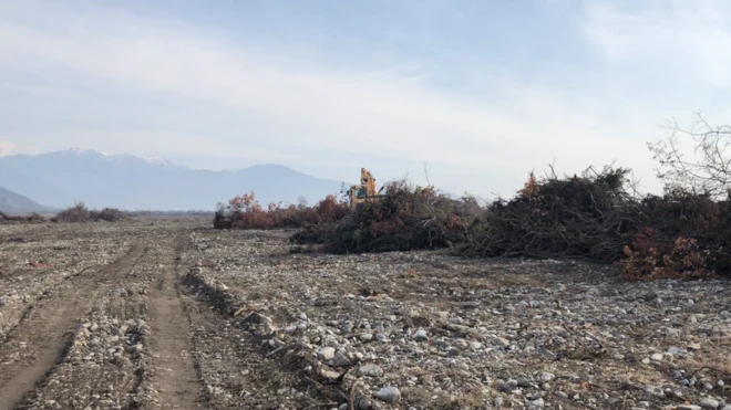 Şəkidə kürünən meşə ərazisi