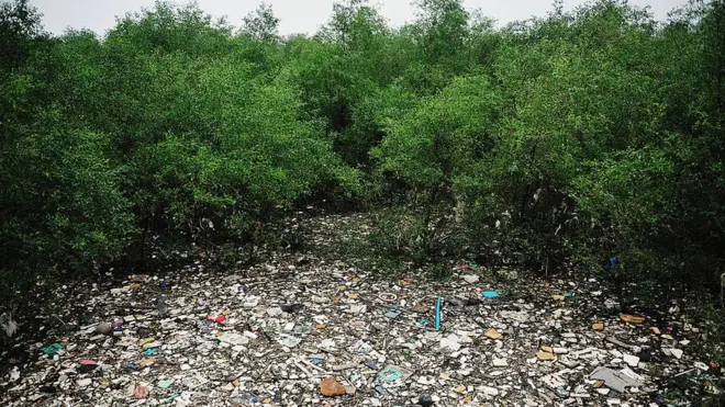 мусор в лесу