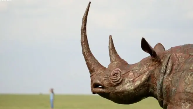 జంతువుల మధ్యలో క్రికెట్