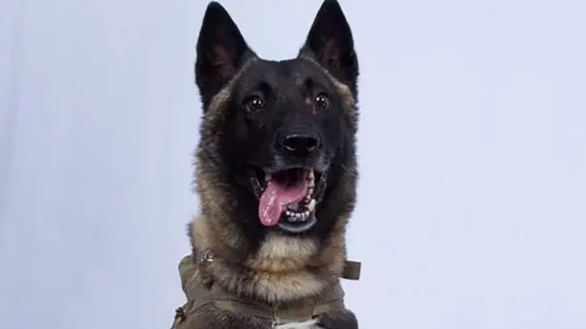 Afisa wa jeshi maalum aliyesaidoia kuuawa kwa Abu bakr al-Baghdadi