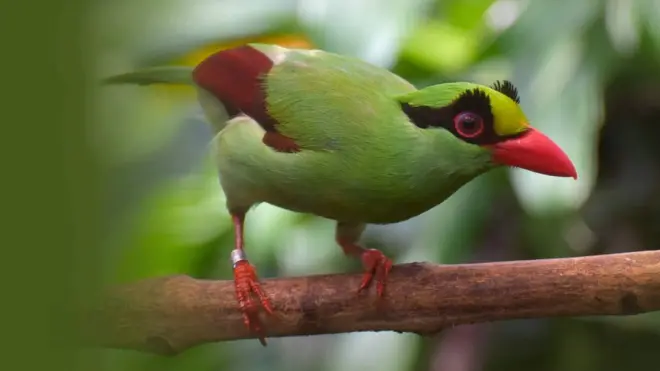 Foto: Jonathan Beilby/CCBC