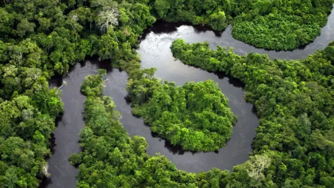 Amazon rainforest]