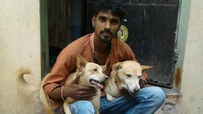 The two street dogs are both named 'puppy'