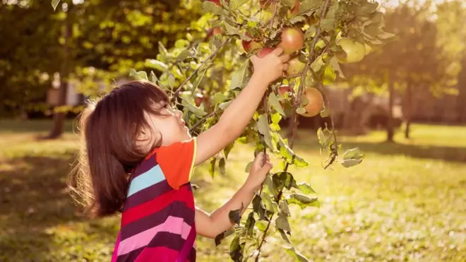 Laporan PBB mengatakan alam mengalami kerusakan secara drastis di mana-mana.
