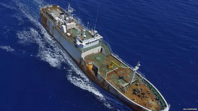 आंद्रे डोलगोव जहाज