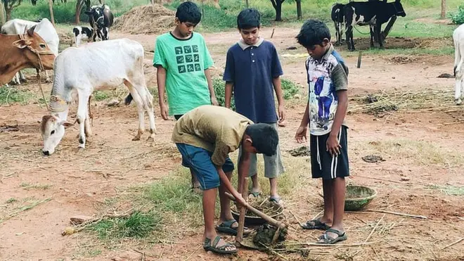 జీవన వికాస విద్యావనం
