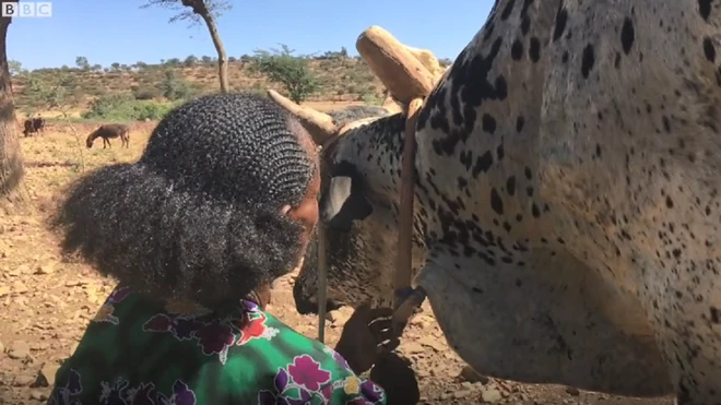 Dubartummaa fi Qonna