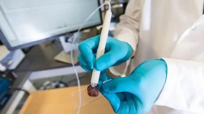 дослідження