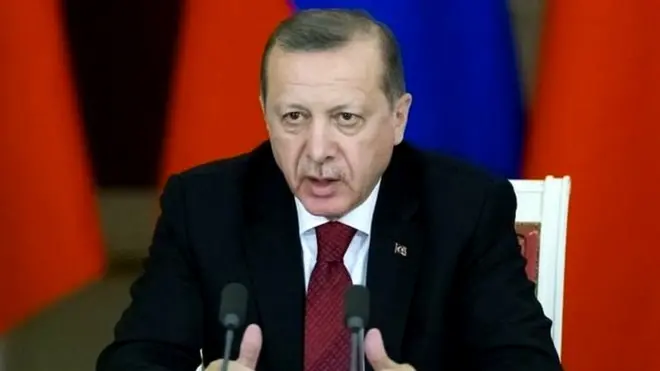 طیب اردوغان یورپ میں بسنے والے ایسے دسیوں لاکھ ترک شہریوں کو اپنی طرف راغب کرنا چاہتے ہیں جو اس ریفرنڈ میں وود دینے کے مزاج ہیں