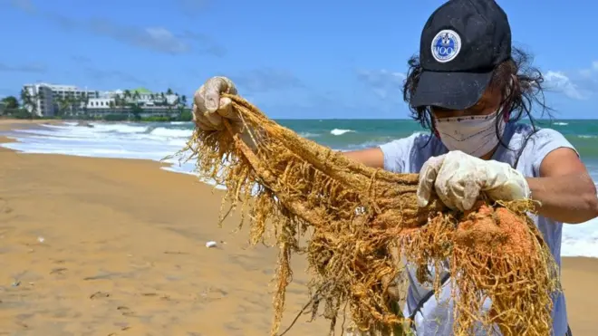 पर्यावरण