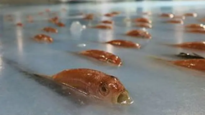 دغه تفریح ځای لومړی پورتني عکسونه پر خپل فېسبوک خپاره کړي ول، خو وروسته یې لېرې کړل.