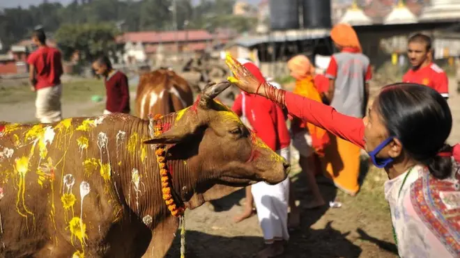 د نورو کلونو پر خلاف سږ کال په دیوالي کې پټاکۍ نه کارېږي.