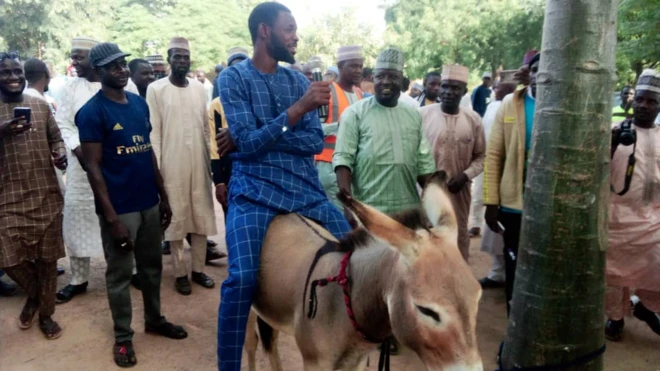 Donkey dey carri pesin