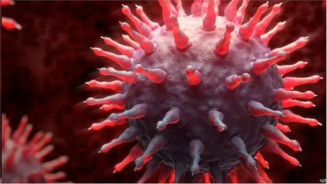 每一季都有多達500萬人得流感(圖片來源：SPL)