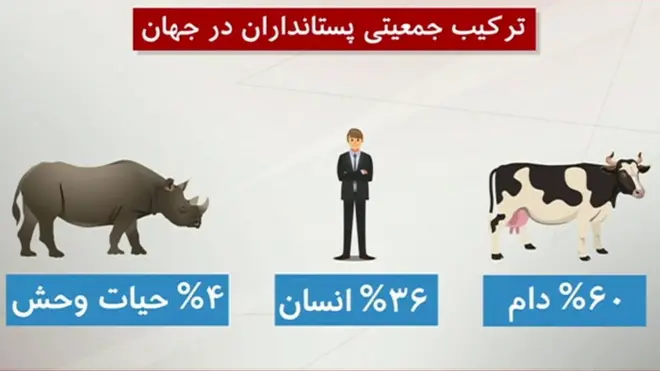 روز جهانی تنوع زیستی؛ ششمین انقراض بزرگ در راه است