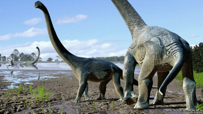 Savannasaurus: um novo espécimesite de aposta betwaydinossauro