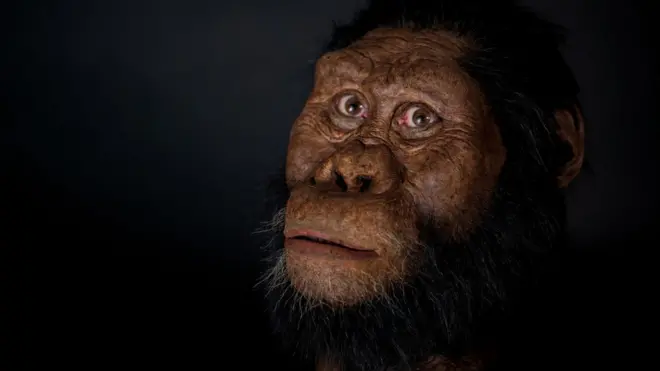 Haftee akka moodelaatti midhaaffame