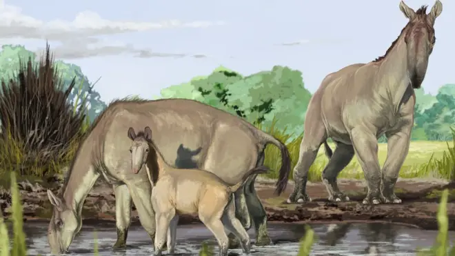 La Macrauchenia era todo un misterio para la comunidad científica, hasta ahora.