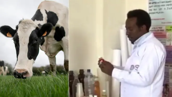 ላሕሚ (ጸጋም) ዶክተር ሲሳይ ኣብ ቤተፈተነ (የማን)